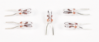 10 Gl�hbirnen von Massoth f�r LGB, a 24 Volt