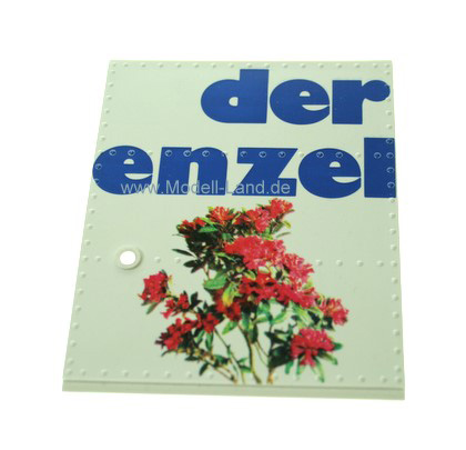 Schiebetür Appenzeller Güterwagen LGB 43280-E007