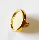 Nummerntafel in gold Dampflok 2015 / 2017 LGB 27171-E030