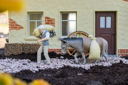 Müller mit Esel Pola 331533
