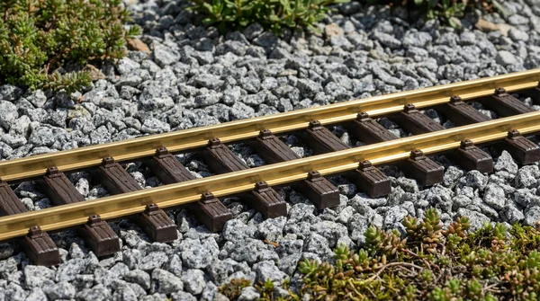 Gleis gerade 30 cm LGB 10000_auswahl1