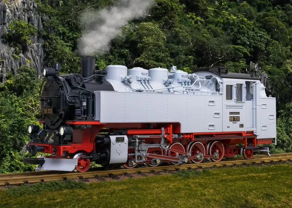 Dampflok VII K 99 731 SOEG LGB 21482_auswahl2