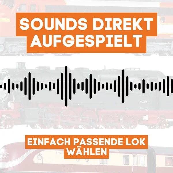 Digitalisierungsset für LGB Schöma Diesellok ML-Train 81609257_auswahl5