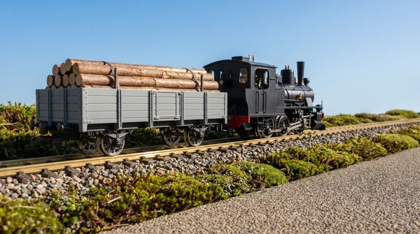 ML-Train Niederbordwagen grau Spur G Bausatz mit Metall-Speichenradsätzen 31 mm – 30 Teile ML-Train 88923590_auswahl5