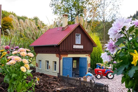 Dorfschmiede Pola 331179