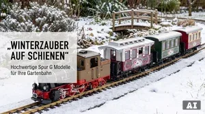 LGB Weihnachtswagen Sammlerwert: Welche sind am teuersten?