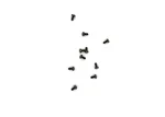 Zylinderschraube M3x6 (10 Stück) für Spur-G LGB 23105-M017
