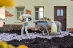 Müller mit Esel Pola 331533