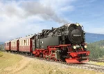 26818000_auswahl5