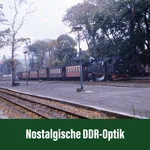 83801060_auswahl7