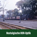 83801066_auswahl7
