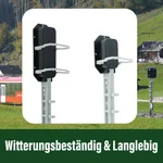 83804616_auswahl2