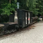 88919394_auswahl5